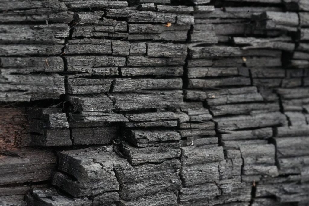 Detailed close-up of charred wood displaying intricate texture and pattern.